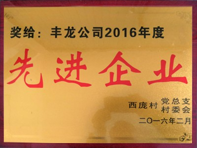 豐龍公司2016年度先進(jìn)企業(yè)